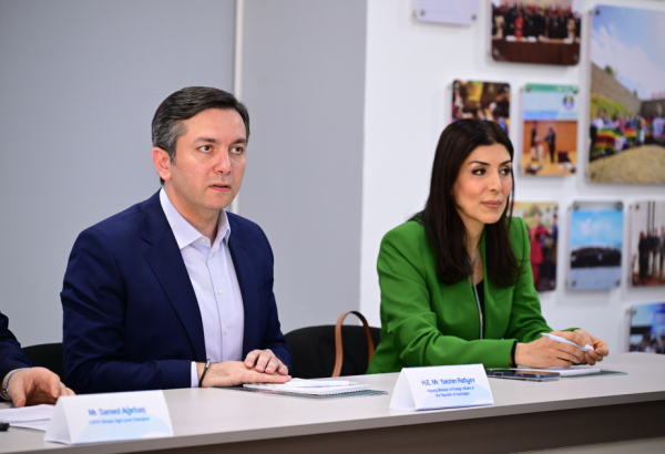 Yalçın Rəfiyev: Azərbaycan COP31-in uğurla keçirilməsi üçün Türkiyəni dəstəkləyəcək 